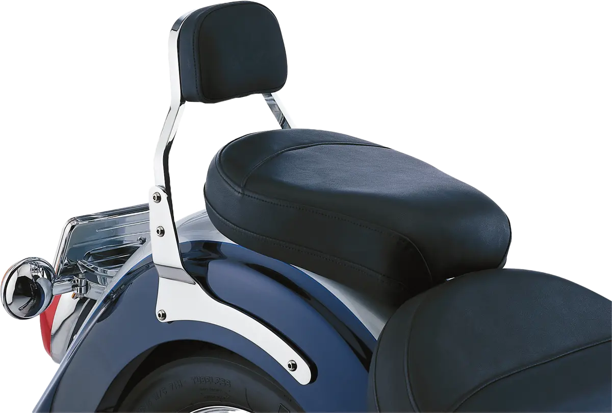 Cobra Mini Sissy Bar W/Pad 16