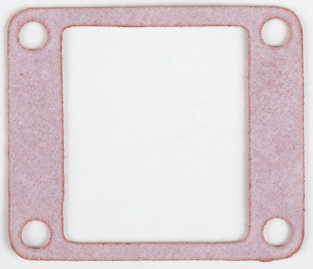 Motorcycle Rad Gasket 1