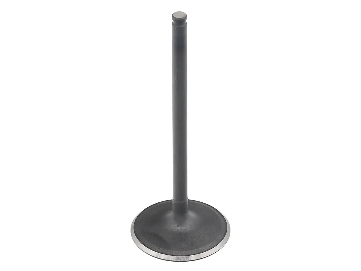 Intake Valve Pol 1