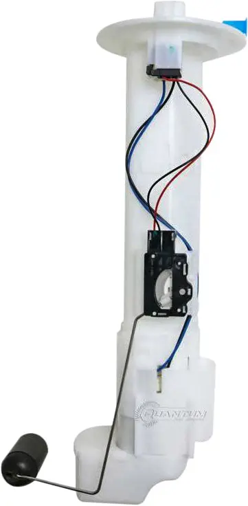 Complete Fuel Pump Assembly 1