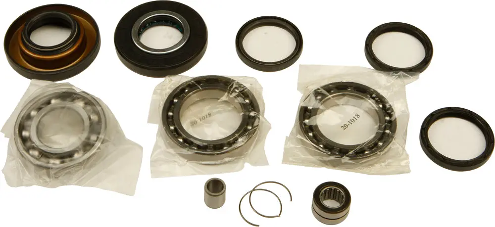 Differential Bearing And Seal Kit 1