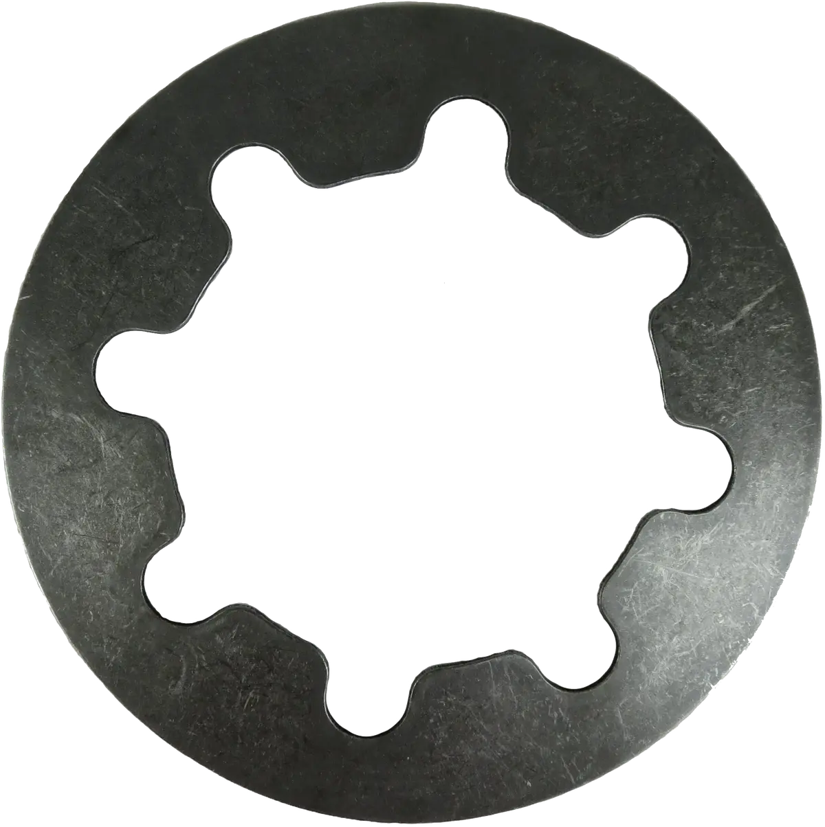 Diaphram Spring Dished Big Twin 2