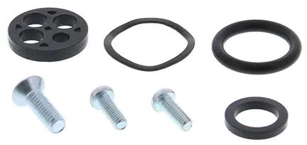 Fuel Tap Repair Kit 5