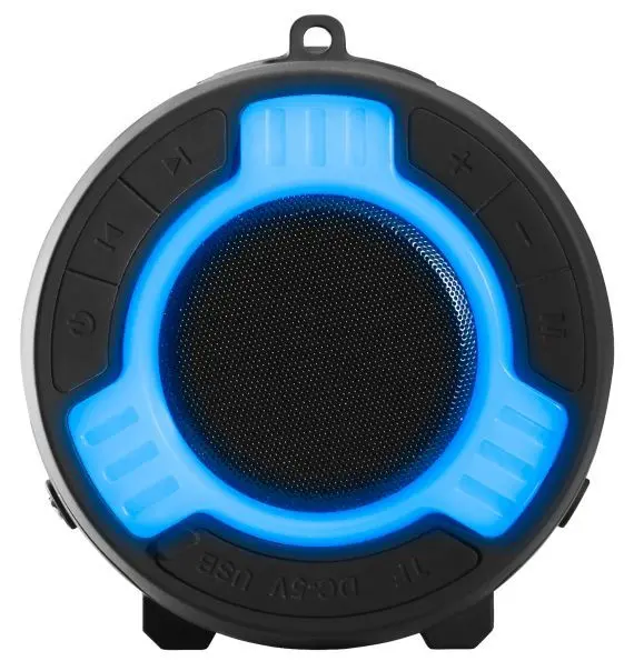 Bluetooth Portable Speaker 2