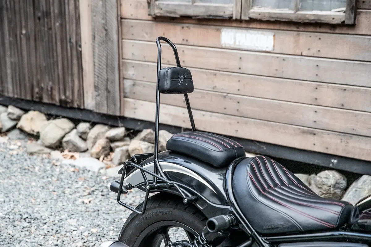 Tall Sissy Bar W/ Pad 5
