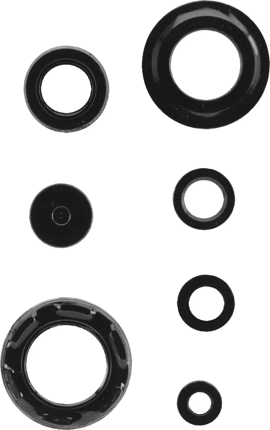 Engine Oil Seal Kit 1