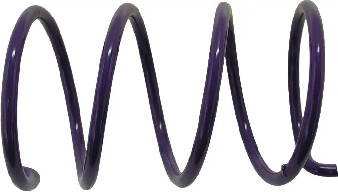 Spring  Driven Clutch Cat Purple 1