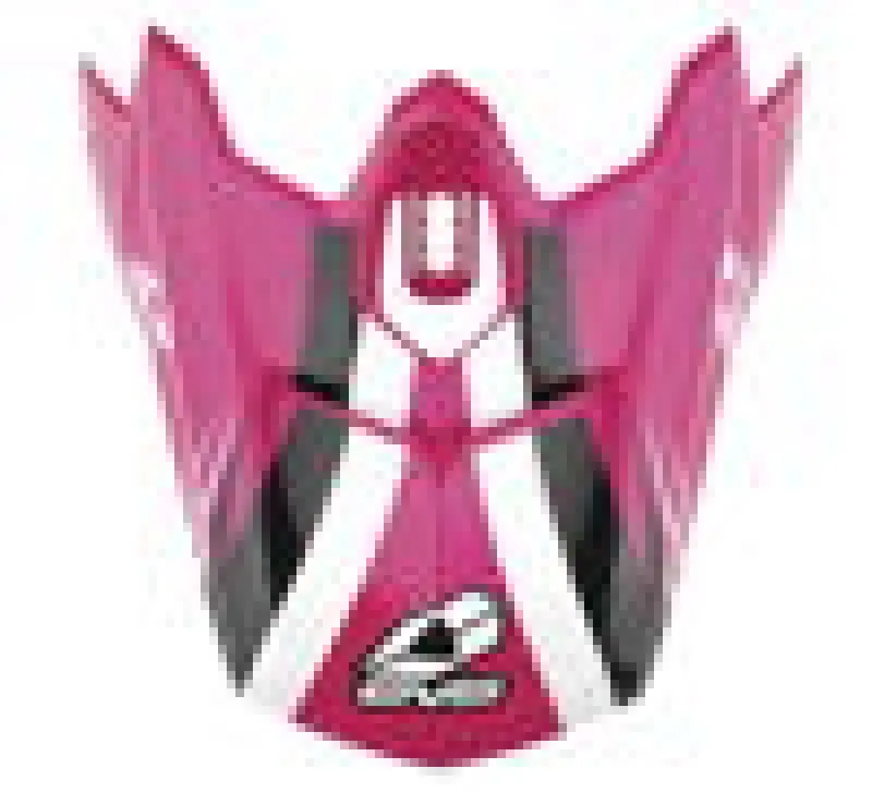 Evs T3 Works Visor 1