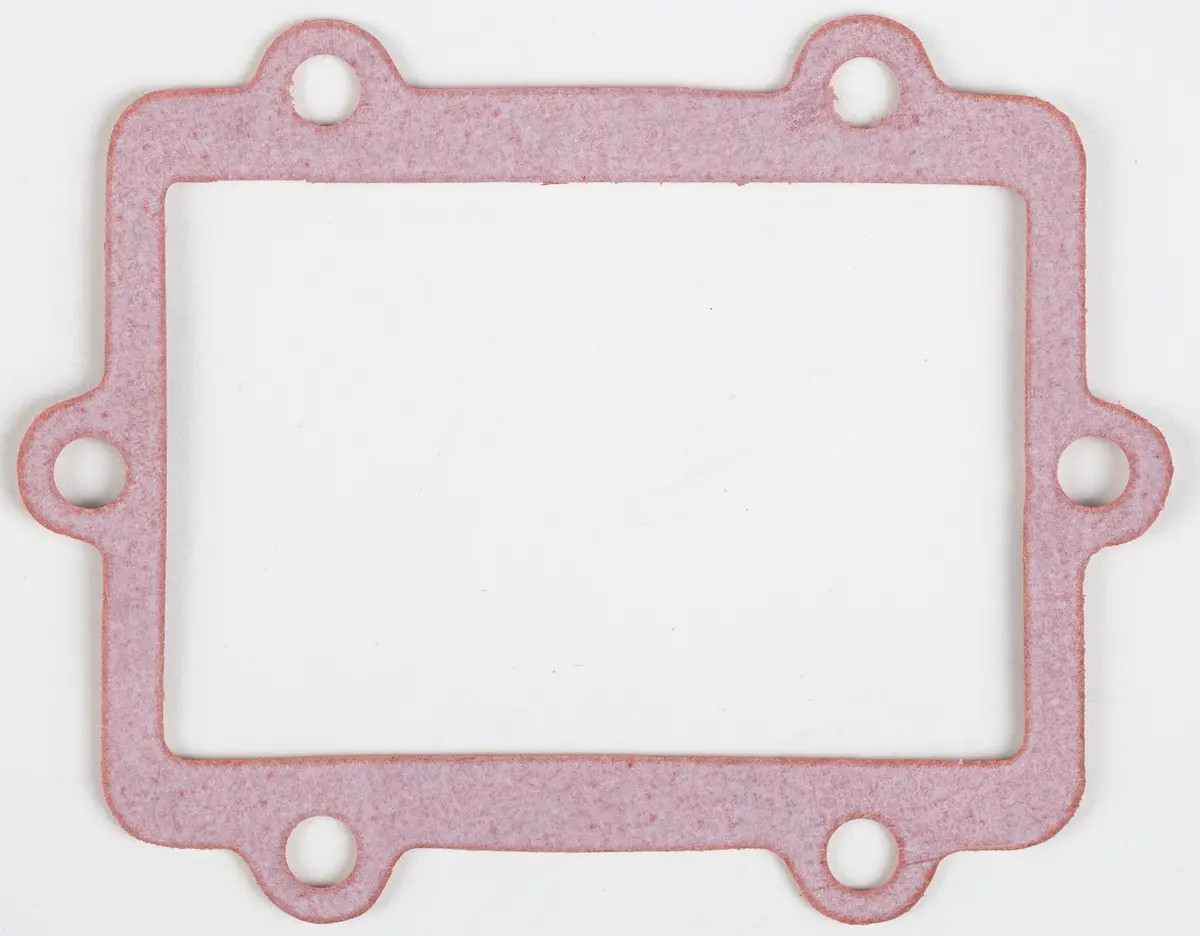 Motorcycle Rad Gasket 1