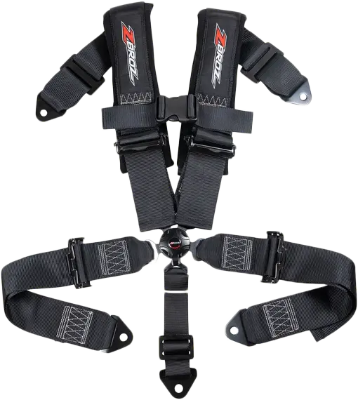 3" 5 Point Cam Lock Harness 1