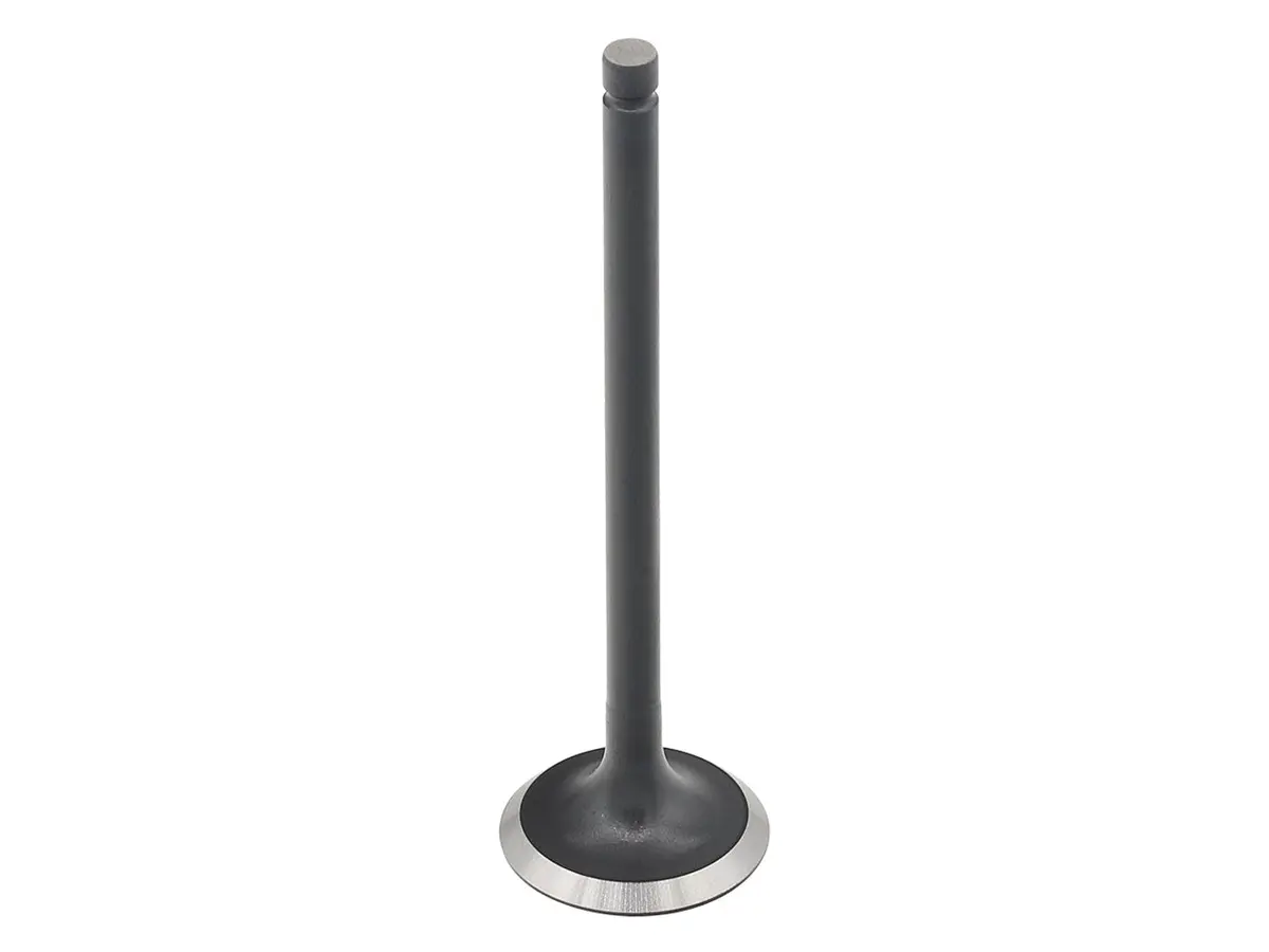 Exhaust Valve Can 1