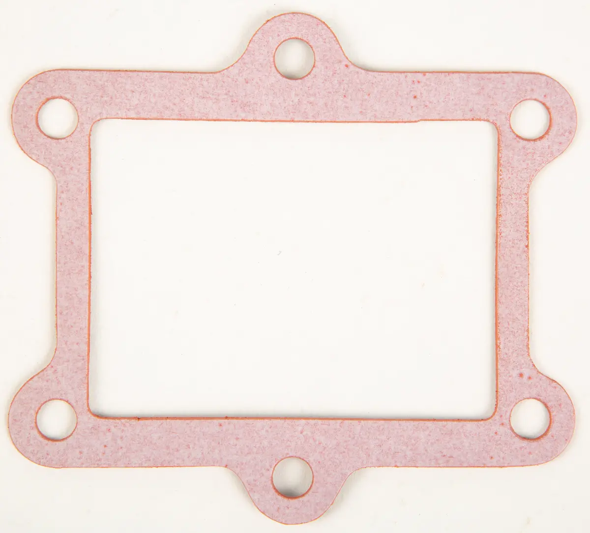 Motorcycle Rad Gasket 1
