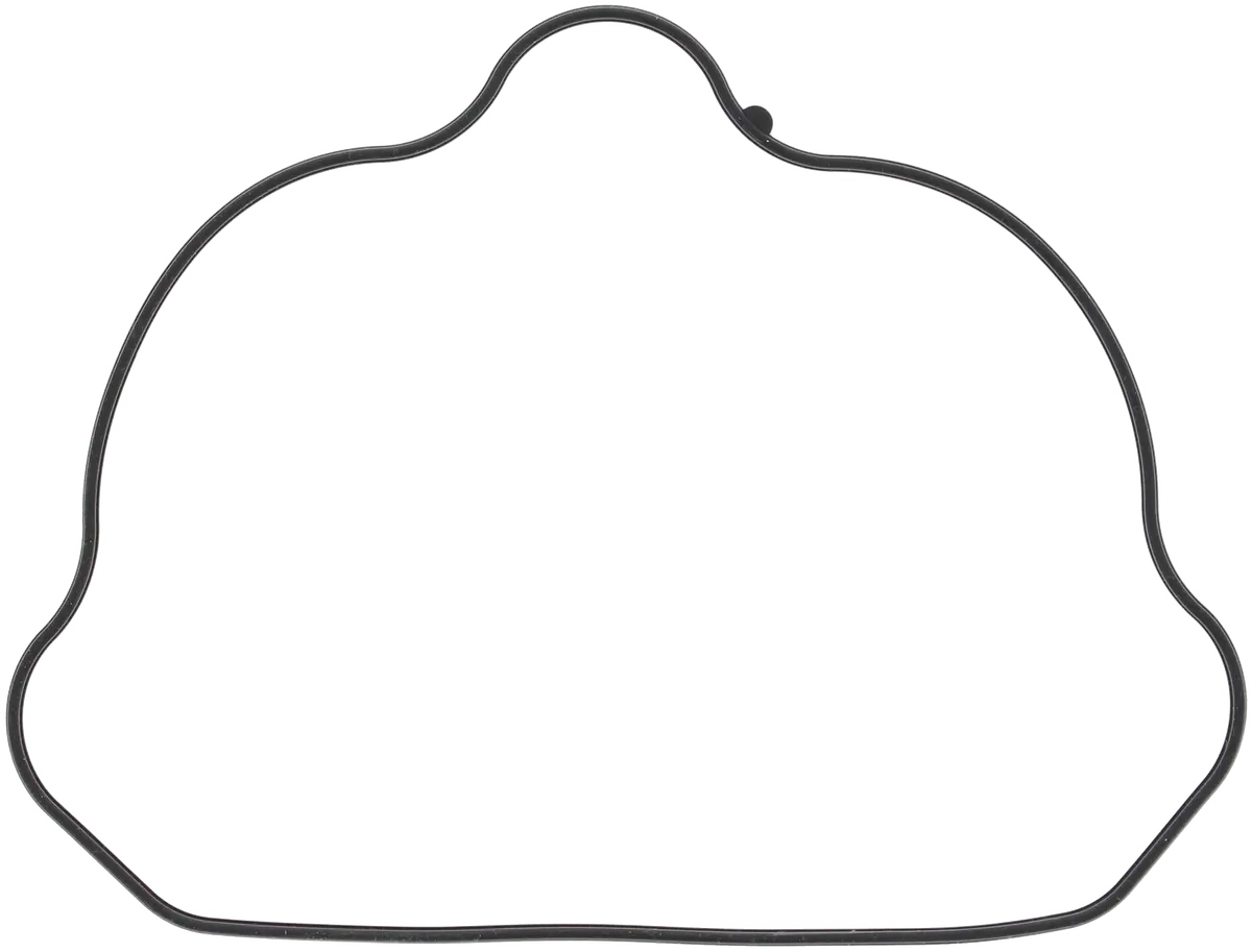 Valve Cover Gasket Pol 1